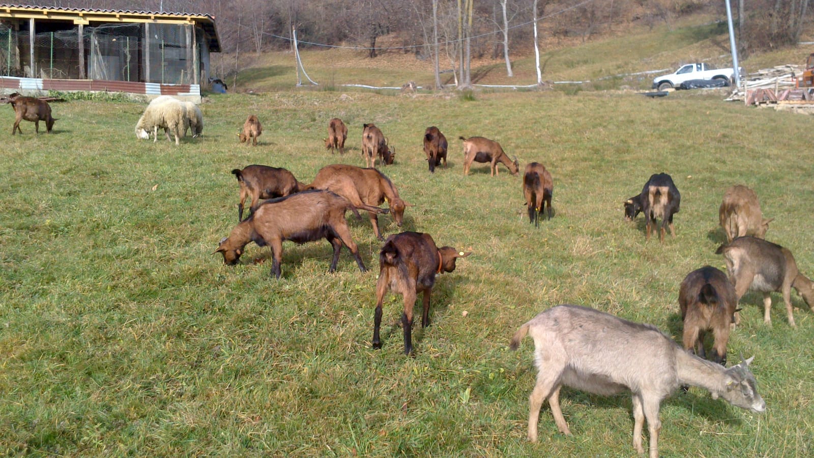 19-07-21_VisitaFazia3